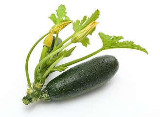 Image showing Zucchini