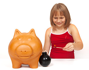 Image showing Exploding the piggy bank