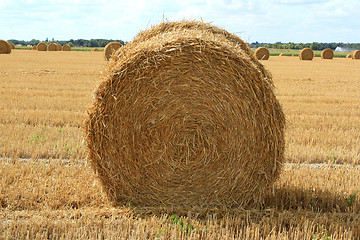 Image showing haystack