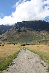 Image showing New Zealand