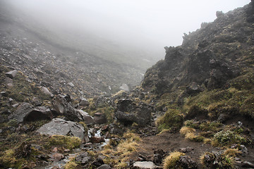 Image showing Tongariro National Park