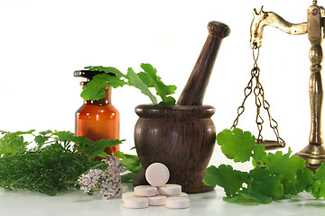 Image showing Naturopathy