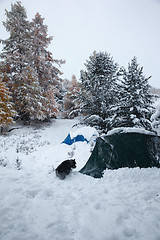 Image showing Altai under snow