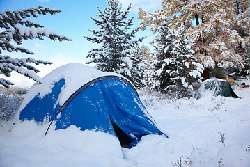 Image showing Altai under snow