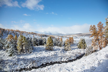 Image showing Altai under snow