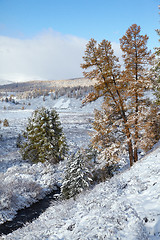 Image showing Altai under snow