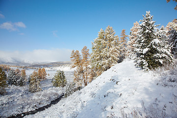 Image showing Altai under snow