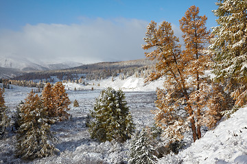 Image showing Altai under snow