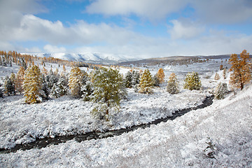 Image showing Altai under snow