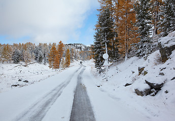 Image showing Altai under snow