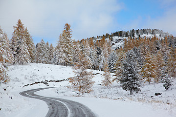 Image showing Altai under snow