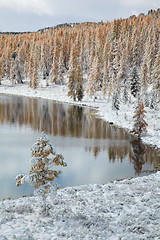 Image showing Altai under snow