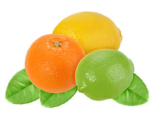 Image showing Fruits of orange, lemon and lime with green leaf