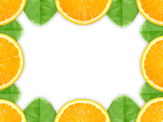 Image showing Frame with orange fruit and green leaf