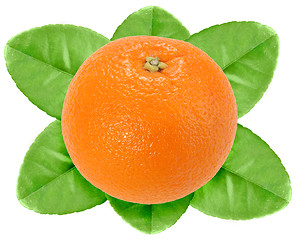 Image showing One fruit of orange with green leaf