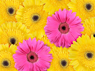 Image showing Abstract background of yellow and pink flowers