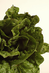 Image showing romaine