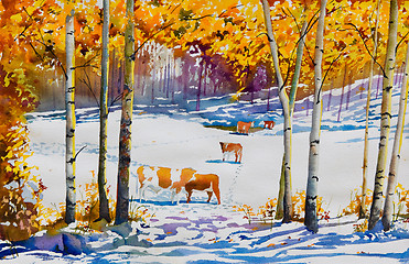 Image showing Early Snow and Cattle