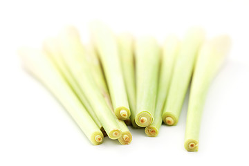 Image showing lemon grass