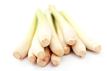 Image showing lemon grass