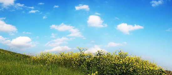 Image showing Background Of Sky And Grass