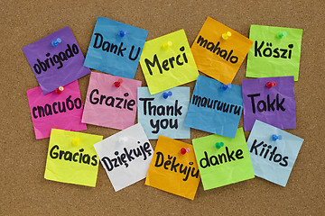 Image showing Thank you in different languages