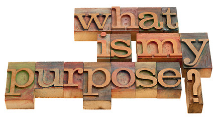 Image showing what is my purpose