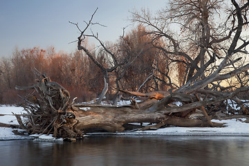 Image showing winter river