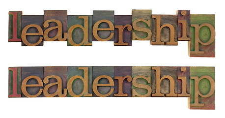 Image showing leadership