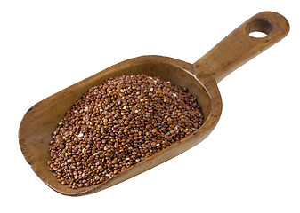 Image showing scoop of quinoa