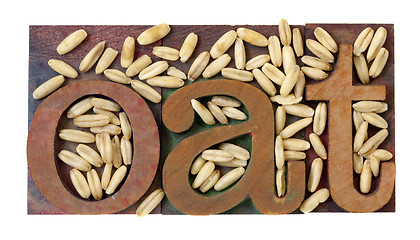 Image showing oat word and grain