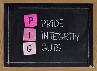 Image showing pride, integrity and guts