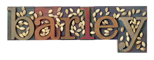 Image showing barley word and grain