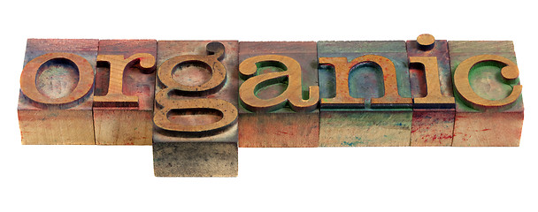 Image showing organic in letterpress type