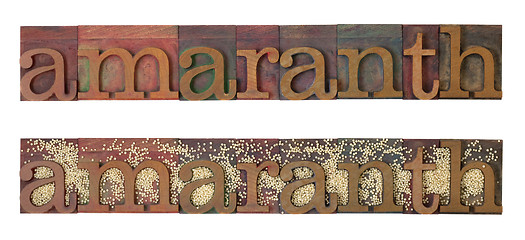 Image showing amaranth grain