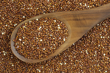 Image showing red quinoa grain and spoon