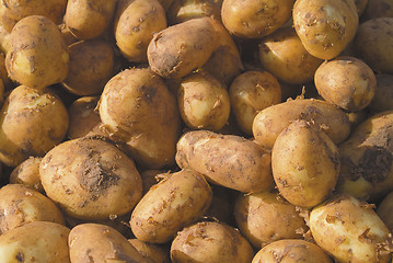 Image showing Cornish potatoes