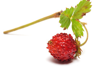 Image showing Strawberries.