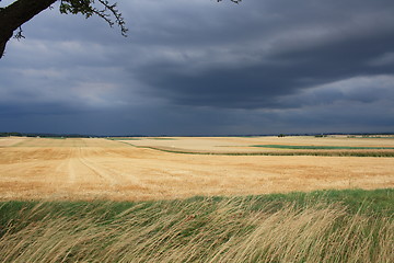 Image showing Landscape