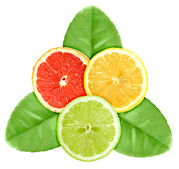 Image showing Set of three cross a citrus fruits on green leaf