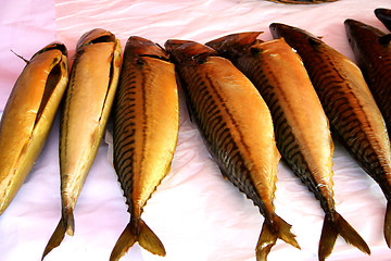 Image showing Mackerel