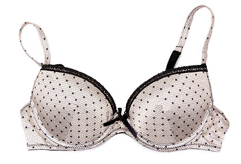 Image showing Brown bra with silvery briliance