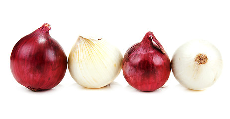 Image showing Light and blue onion lies in row
