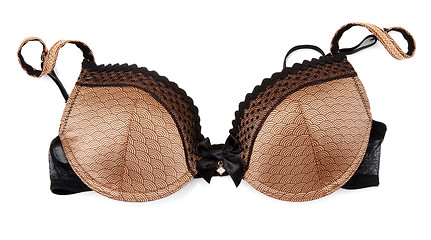 Image showing Brown bra with golden briliance