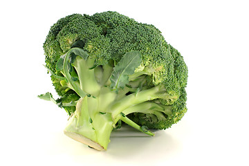 Image showing Broccoli