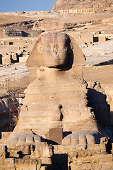 Image showing Sphinx - Giza, Egypt 