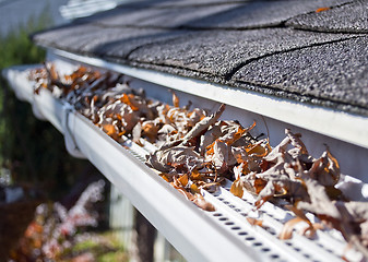 Image showing Rain gutter guards.