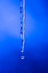 Image showing Ice dripping