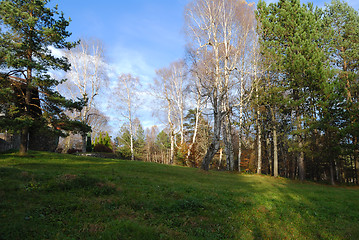 Image showing Autumn in countryside