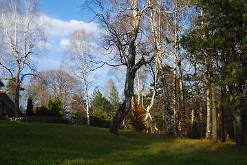 Image showing Autumn in countryside